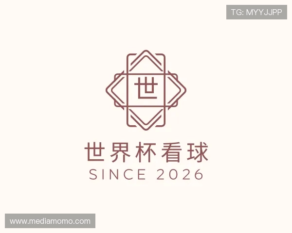 介绍世界杯看球
